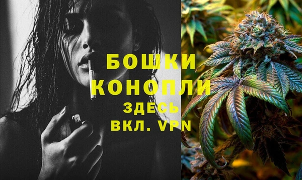 трава Армянск