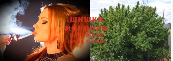 прущие крисы Аркадак